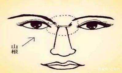 一、  抬头纹的本体论阐释：作为“年轮”的生理与心理双重映射