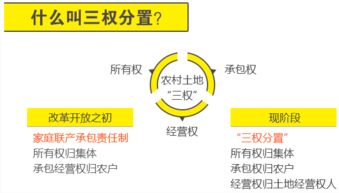 四、 “三式”现代化启示与今后展望