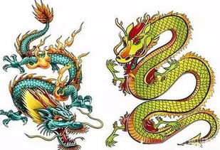 龙