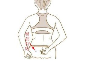 1.1 耳长对应之内在机制