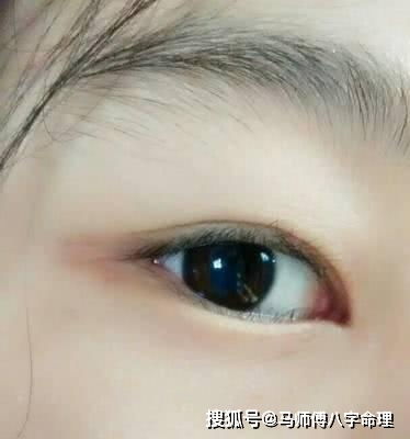 事业运势：坚毅与洞察力的交织