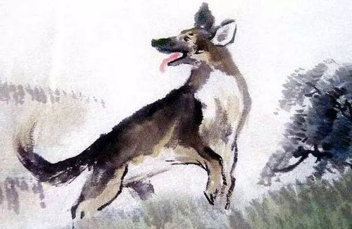 2026年属狗人11月理发黄道吉日是哪一天？