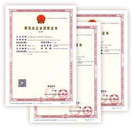 资质与经验：