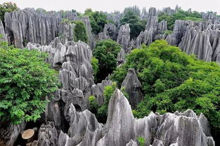 石林是什么鬼地方？去了会变神仙吗？