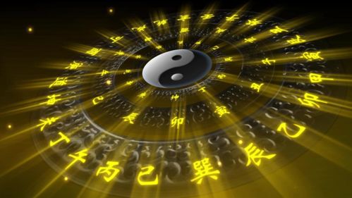 八字中日元是第几个字？如何解读八字中日元的含义？