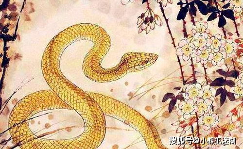 别瞎忙活！先搞懂五行里的小秘密——蛇宝宝的命理玄机