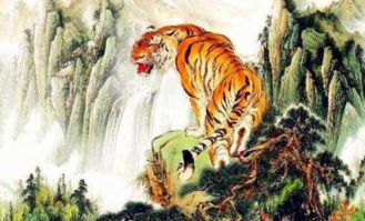 2026年属龙冲太岁会有哪些灾难性影响？