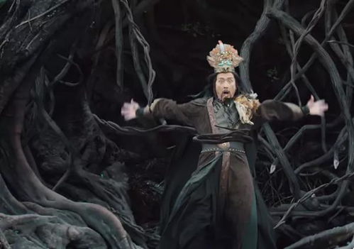 树影的象征意义