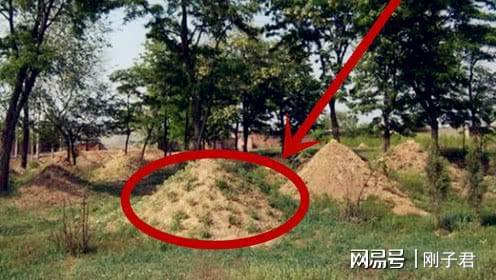 湖北坟头长草预示着什么吉凶，有什么特殊含义？