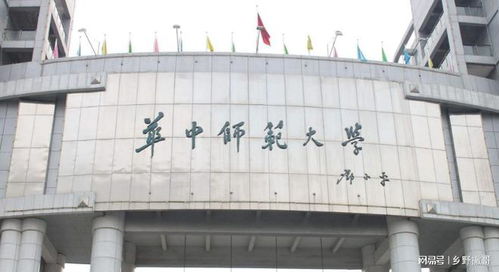 （一） 颜色搭配的心理学与风水学双重考量