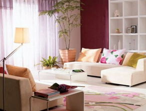 家里瓶子多会对家居风水产生哪些不利影响呢？