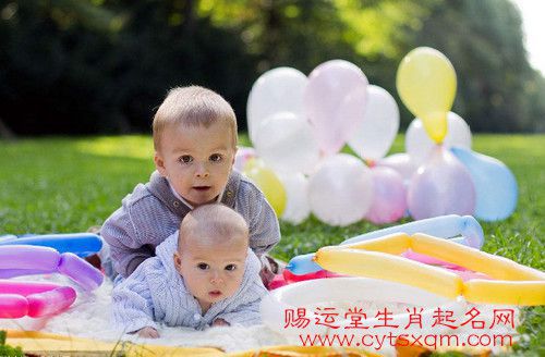 选择合适的字词