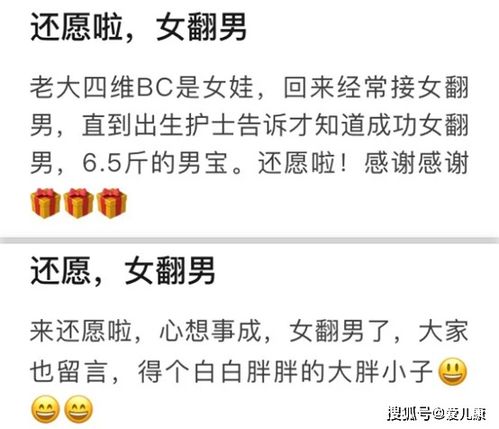 还有哪些漏网之鱼？哦不是宝藏男孩名