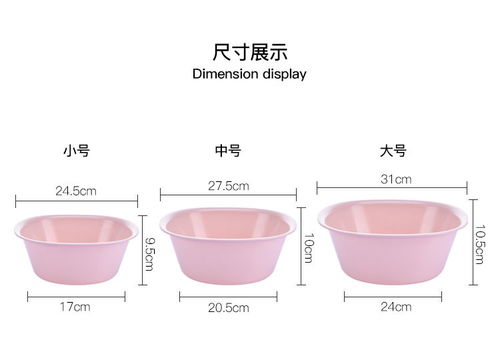 真实案例：从宿舍到全球旅行