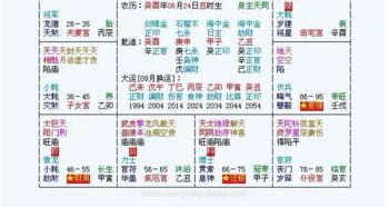 六、 疾厄宫（潜能潜藏与顽强较大生命力）