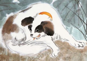 2026年属狗运势好的具体日子和未来三年运势解析分别是什么？