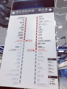 实测6较小时遛娃流水账:从早怼到晚闺女不肯回家拽衣角哭!