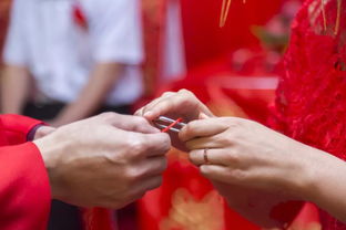 三、 晚婚及年龄差距调理机制之探讨