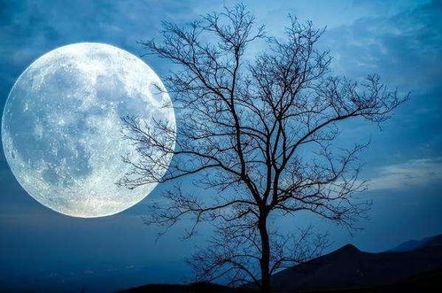 （一） 灵长类的生理局限与精神追求的矛盾