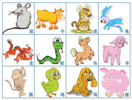 十二生肖财运最佳排名具体是什么含义？