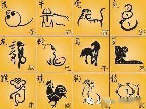 1995年生肖是什么？时尚十二生肖的含义是什么？