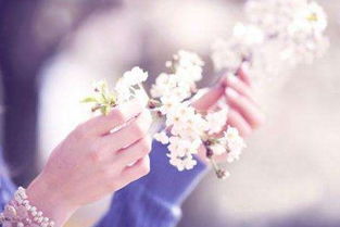 五、 八字视角下之桃花运解析