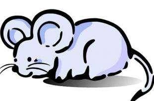 一、 温和外表背后的情绪潜能：总体概述