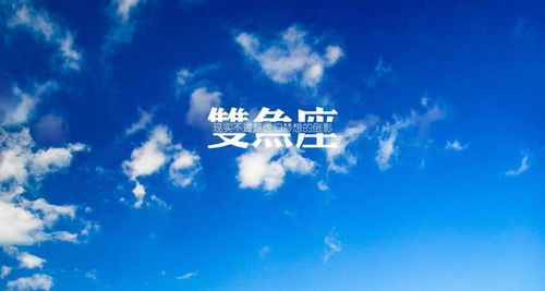 （四）空间范围与支持——名词化表达