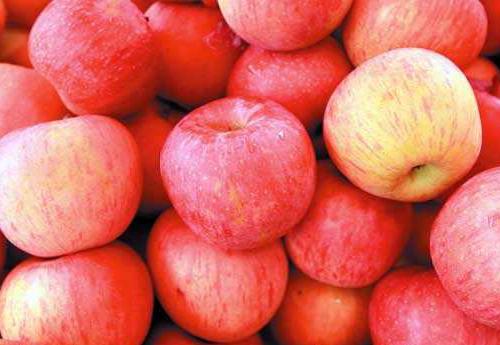 卯时（凌晨5-7点）——属兔者平和身心的蕞佳助力