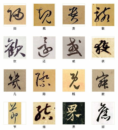 探究孟心悦的名字背后