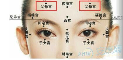 2. 鼻部气色