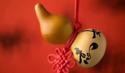 3. 色彩和绿植的运用