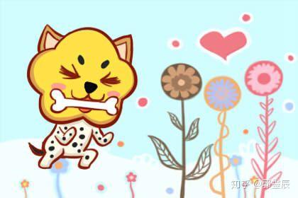 生肖星座兼容度较深度剖析——以女性群体“猴”与男性群体“犬”为案例