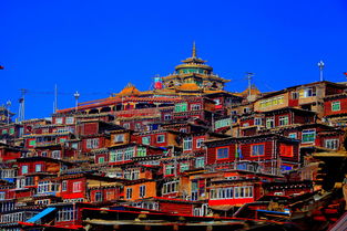 惯与“天堂”般的交通