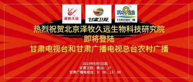 第四章：现代化商务实践与文化底蕴传承的反思