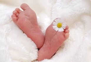 2026年1月哪些日子适合女宝宝出生？推荐哪些礼物？