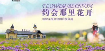 1. 目的地选择：哪里人多去哪里