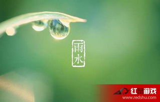 雨水节气概述及其在二十四节气体系中的地位