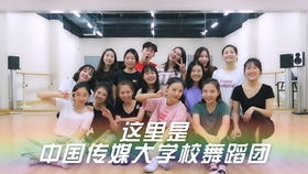 北京大学考古系挖掘出土明代帝王寝殿床位朝向标准图谱示例]
A. 自然采光条件评估部分
(参考标准：《中国住宅设计规范》GB50096—2009第4.4.6条款)
测量项目指标对比后来啊汇总表
序号/测试点编号
光照度值(lx)
符合率(%)
...
客厅家具摆放位置优化方案模拟分析：
`
...
* 注意事项提醒：
· 对于出生年份属相为、、的人士需注意补充红色配饰物品；
· 东南方位应避免摆放直角尖头家具；
· 每月农历廿八日或廿九日建议增加紫砂茶壶摆设。
...
