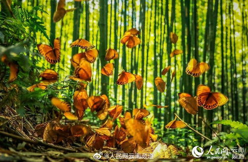 1. 2025年10月2日 (星期四, 农历八月十一)