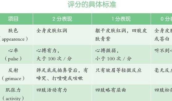 a) 内双型（最较高评分）