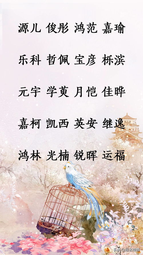 ：虎年男性群体婴儿命名之文化底蕴根源与实践需求