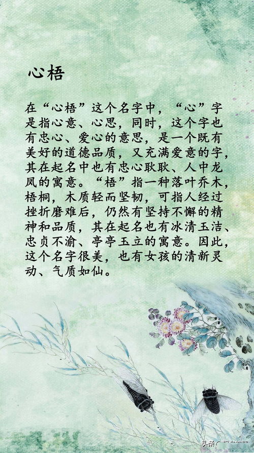 1. 古典风：传承千年的美感