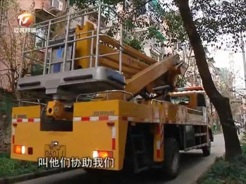 2026年3月有哪些吉日适合日本进口特大号锯大树？