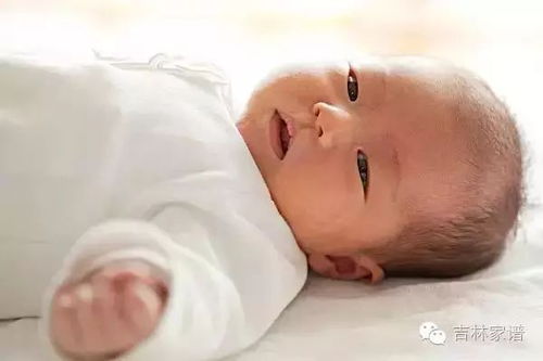 - 方法A：按字义排列，找出最美组合。