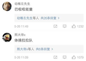 2.1 生肖寓意的延伸与应用