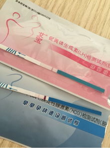 怎样测孕用试纸急求答案， 帮忙回答下