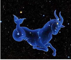 水瓶座和摩羯座友情配对，摩羯和水瓶的友情关系是否和谐？