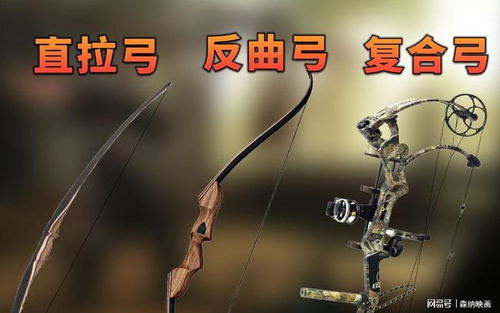 杯弓蛇影：一曲迷梦与警示
