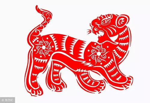 2026年属马人的虎年运势和2026属虎马年运势分别是什么？